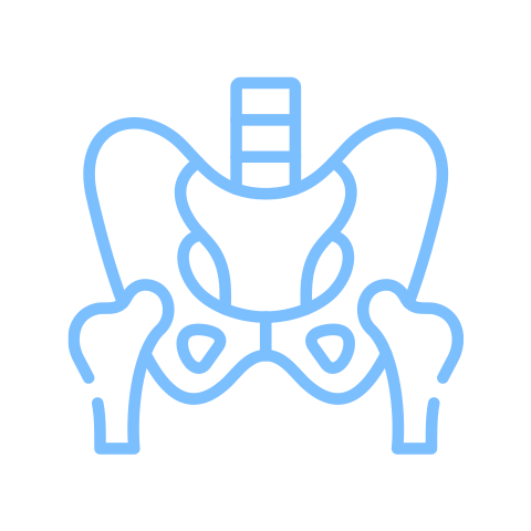 Services - Pelvic Floor PT Services - Pelvic Floor PT